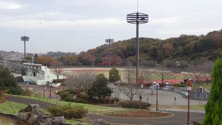 「野草園」で静かに紅葉を堪能