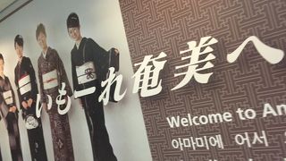 こじんまりした空港