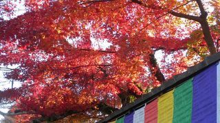 33年に一度の御開帳　石山寺　2016/11/23（祝）