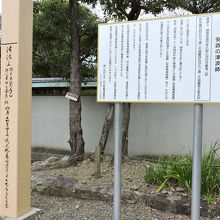 安政南海地震の津波跡