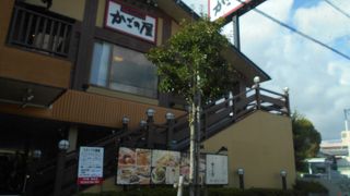 楽に食事できます