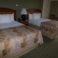 ベッドも大き目！部屋は広くトランク２個が余裕で広げられます