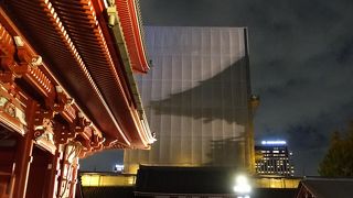 残念な事に姿が見えませんでした