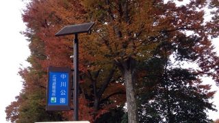 環七通り沿いの木々が紅葉していました