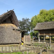 復元された住居