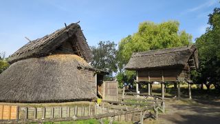 弥生式住居が復元