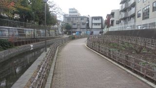 門前仲町と越中島の間にある細長い公園です