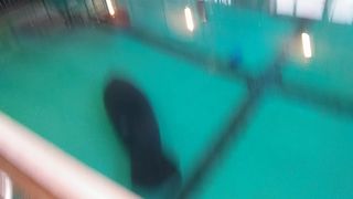 ずんぐりむっくり