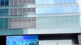 秋葉原でのんびり