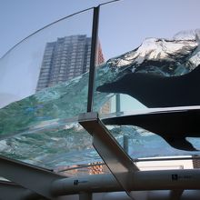 ビルをバックに、元気に泳いでいます！　ざっぱ～ん。