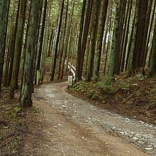 一応舗装路でも地道もあり、ぬかるみなどもあり。要注意。