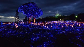 マザー牧場イルミネーション