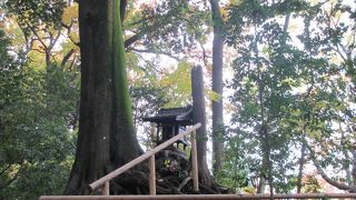 悲しい伝説が残っています