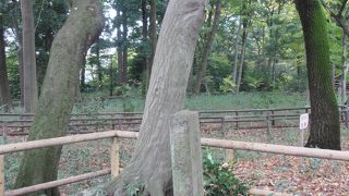 姫塚と共に・・・