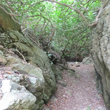 防空壕のような所も、ありました