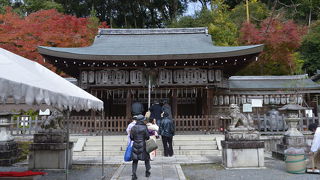 紅葉が綺麗でした