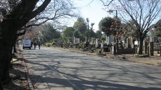 著名人が眠っています