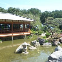 素晴らしい日本庭園です。