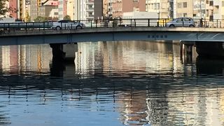 大阪市の一般的な橋の姿。