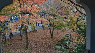 紅葉と見返り阿弥陀