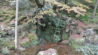 湧水を集めた滝と泉