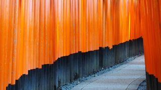 行くなら早朝がおすすめ