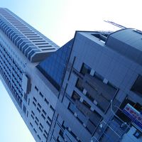 近くに来るとすごく目立ちます