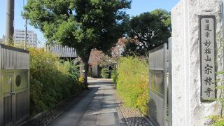 萩寺ともいいます