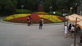 そんなに大きくはない