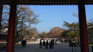 敦化門から入る