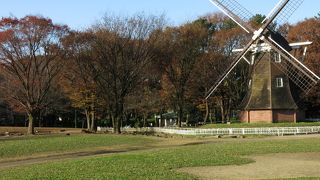 北園・・・秋の雰囲気がいい感じ