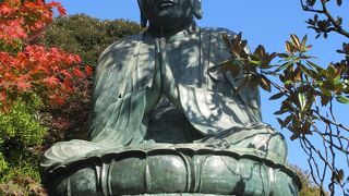 木々に囲まれています