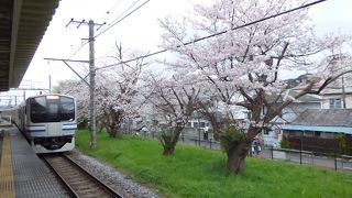 逗子から先が好きです