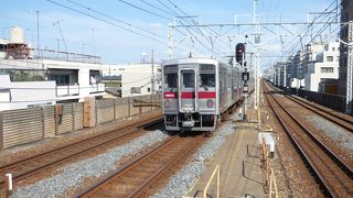 都会の中にものどかな景色が