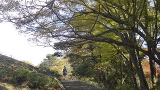 のんびりできます