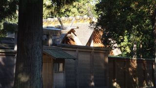 伊勢市駅からすぐです。駐車場も広い。