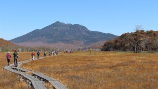 草紅葉を見るなら、尾瀬沼よりこっちかなと思います