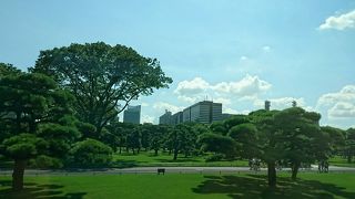 東京のど真ん中の広大な空間