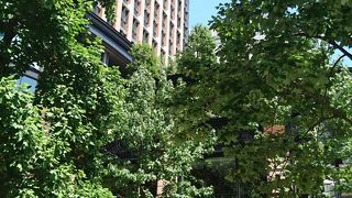 おしゃれな通り