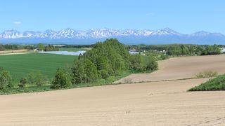 国道沿い。北海道を感じる風景が見えます。