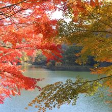 湖畔の紅葉
