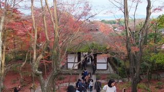 紅葉のきれいなスポット