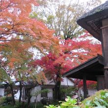 中央の木立の後に美術館　右に旧邸宅