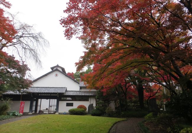 草雲美術館