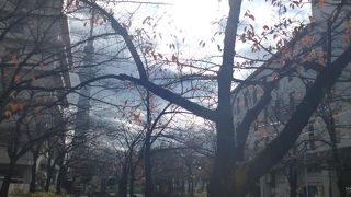 桜の季節がお勧めです