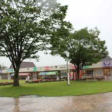 芝生広場もあり寛げます