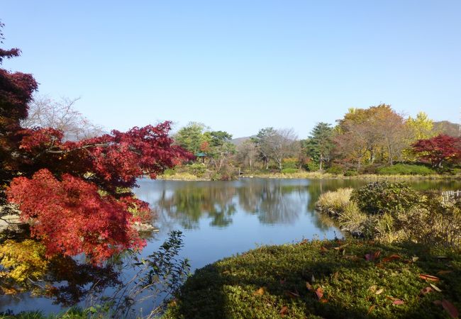 約三万坪の広～い苑内で紅葉満喫！