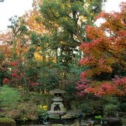 日本庭園の紅葉が綺麗