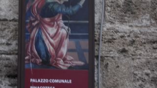 市庁舎と美術館