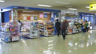 大阪空港に到着し、バス乗り場に向かう途中にあります。